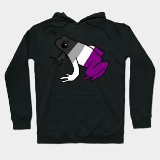 Pixel Asexual Frog Hoodie